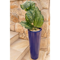 Vaso Decorativo Polietileno Grande